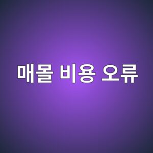 매몰 비용 오류