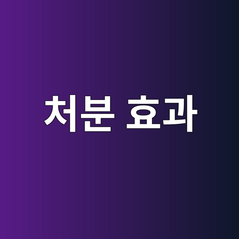 처분 효과
