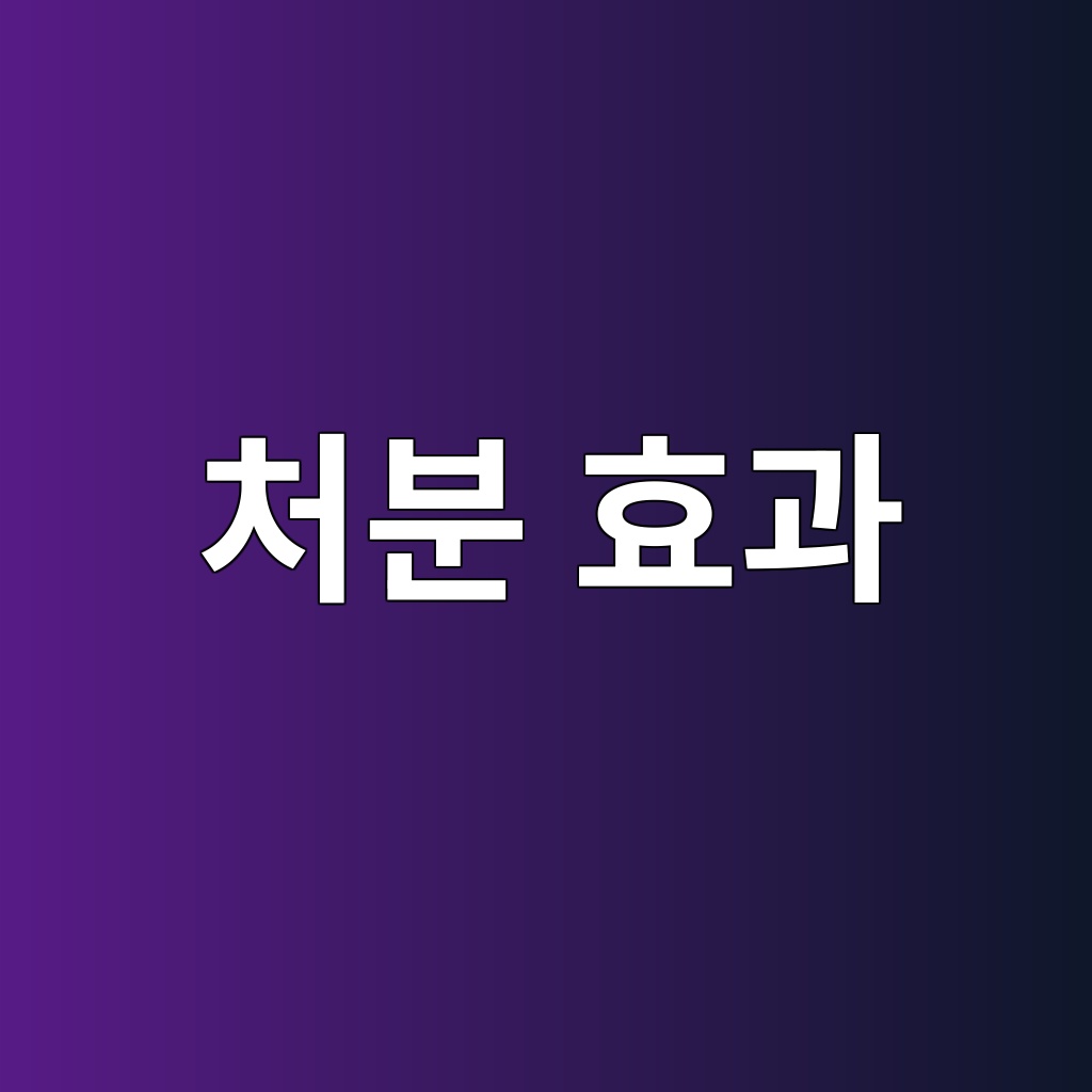 처분 효과