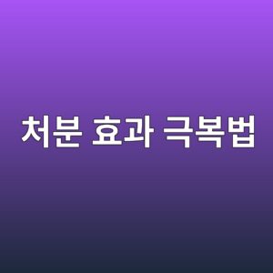 처분 효과 극복법