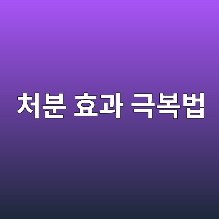 처분 효과 극복법