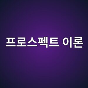 프로스펙트 이론