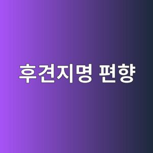 후견지명 편향