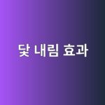 닻 내림 효과