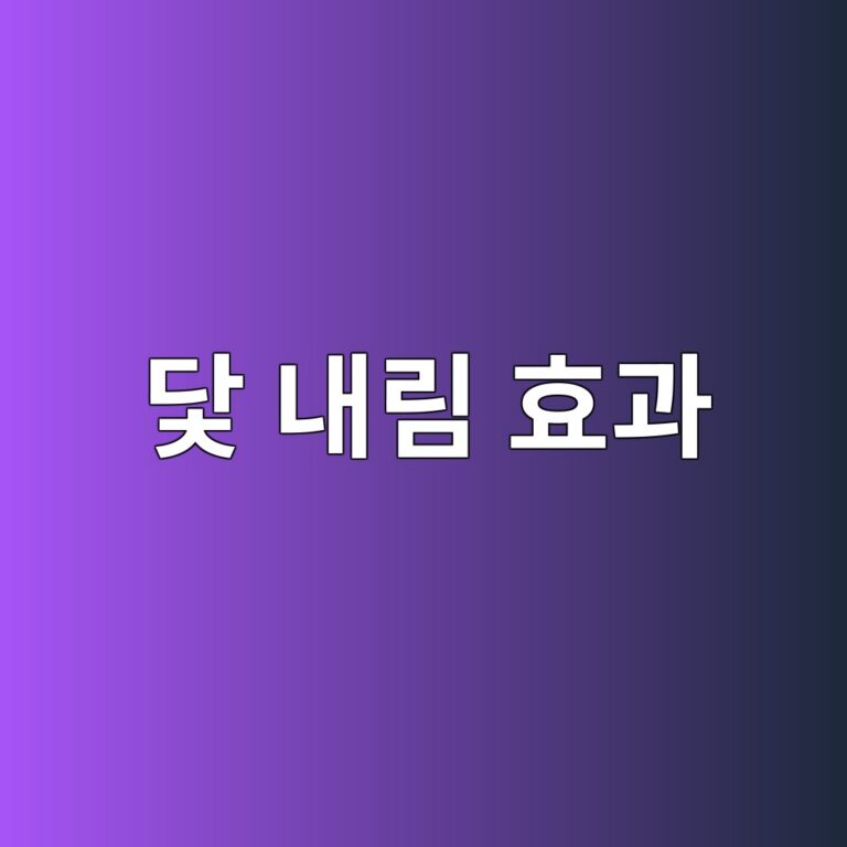 닻 내림 효과