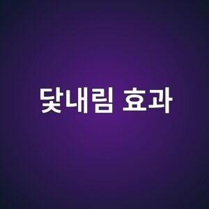 닻내림 효과