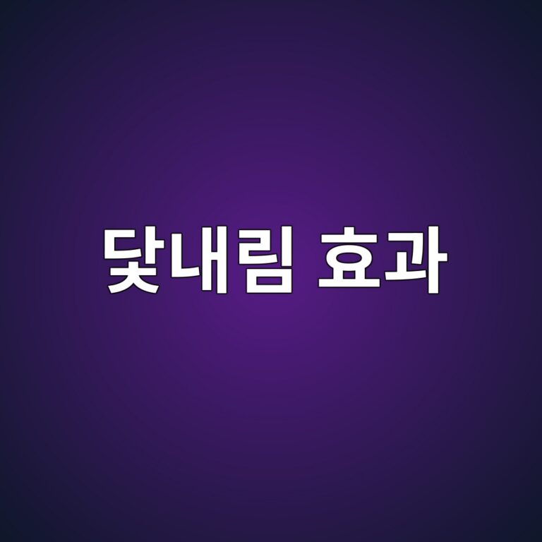 닻내림 효과