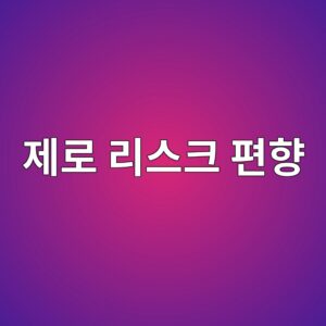 제로 리스크 편향