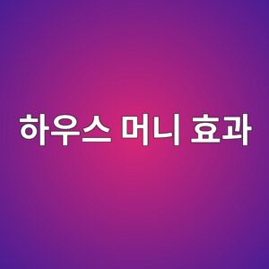 하우스 머니 효과
